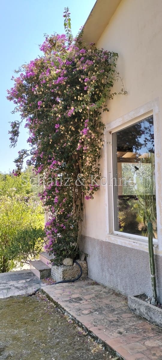 3 chambre Finca/Maison de Campagne à vendre à Sant Joan avec piscine - 789 000 € (Ref: 9170657)