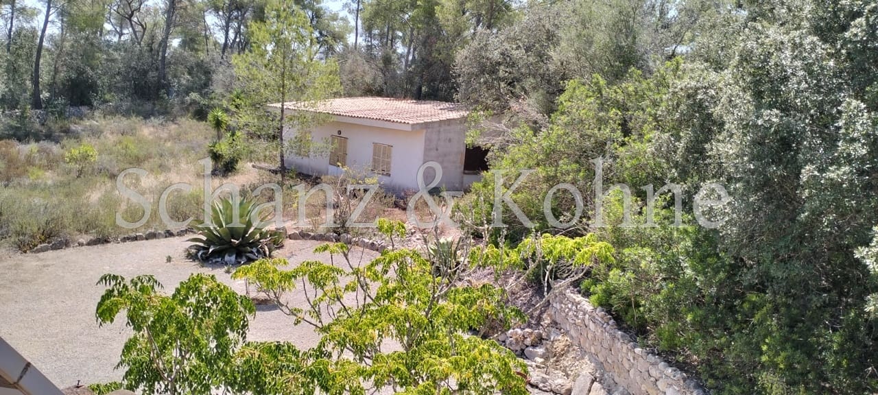 3 chambre Finca/Maison de Campagne à vendre à Sant Joan avec piscine - 789 000 € (Ref: 9170657)