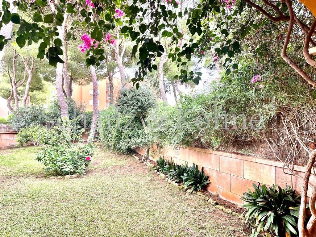 1 camera da letto Appartamento da affittare in Maioris Decima con piscina - 1.385 € (Rif: 9231370)