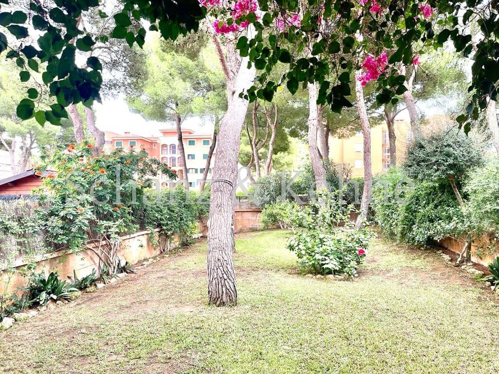 1 camera da letto Appartamento da affittare in Maioris Decima con piscina - 1.385 € (Rif: 9231370)