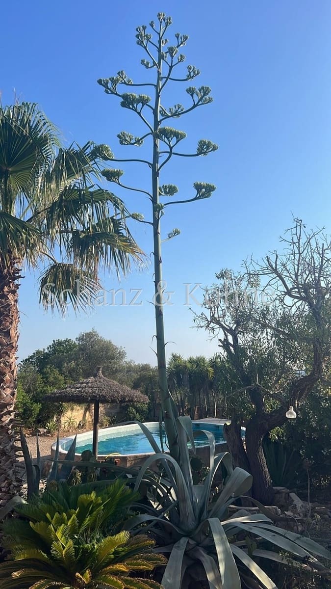 4 sovrum Finca/Hus på landet till salu i Llucmajor med pool - 1 900 000 € (Ref: 9253991)