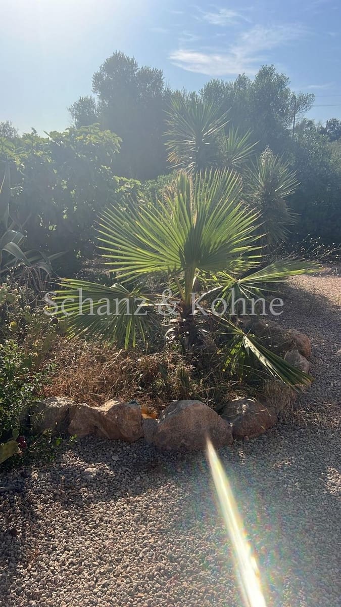 4 sovrum Finca/Hus på landet till salu i Llucmajor med pool - 1 900 000 € (Ref: 9253991)