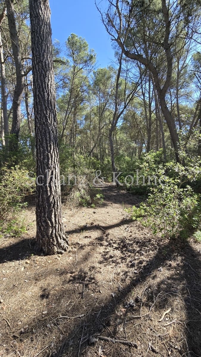 1 bedroom Finca/Country House for sale in Algaida - € 200,000 (Ref: 9469019)