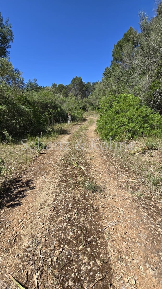 1 bedroom Finca/Country House for sale in Algaida - € 200,000 (Ref: 9469019)