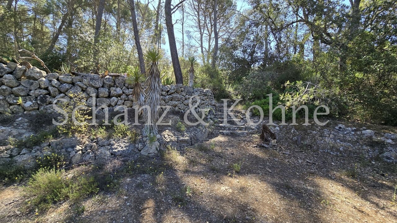 1 bedroom Finca/Country House for sale in Algaida - € 200,000 (Ref: 9469019)