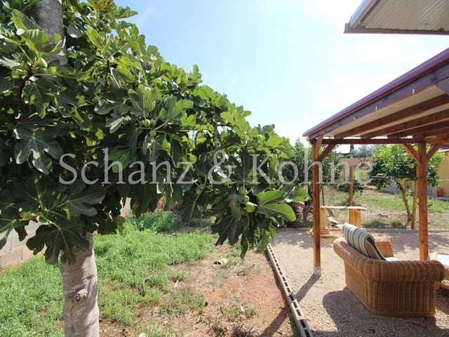 1 sypialnia Bungalow do wynajęcia w Son Ferriol, Palma de Mallorca - 1 250 € (Ref: 9810424)