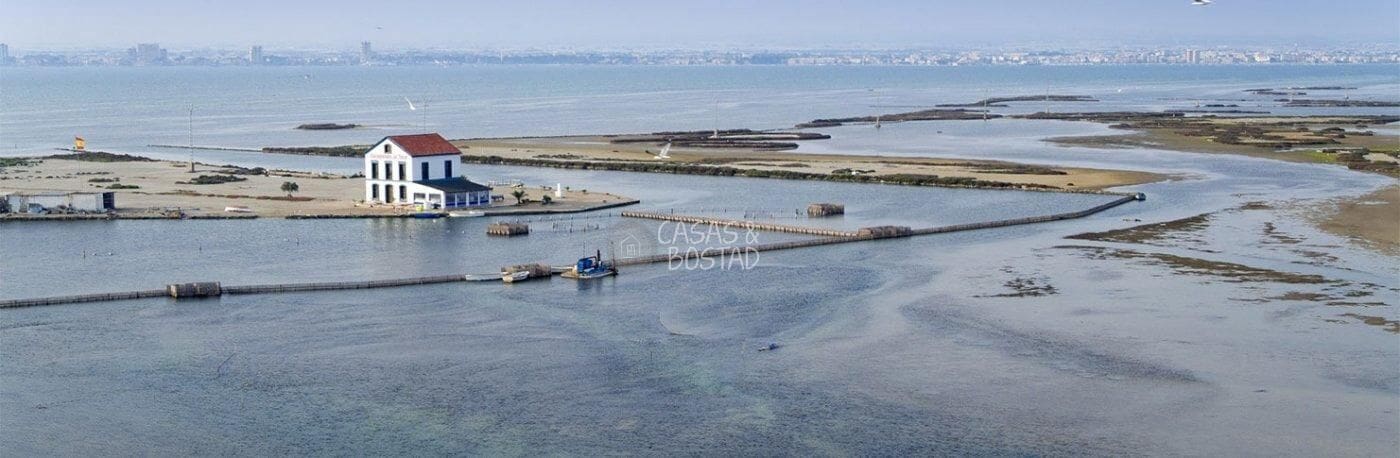 Chalet de 3 habitaciones en San Pedro del Pinatar en venta con piscina - 569.950 € (Ref: 8549391)