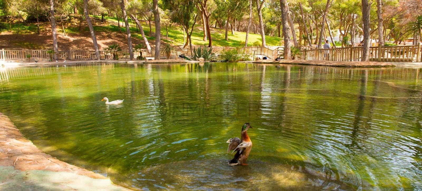 1 sypialnia Penthouse na sprzedaż w Guardamar del Segura - 269 500 € (Ref: 8951912)