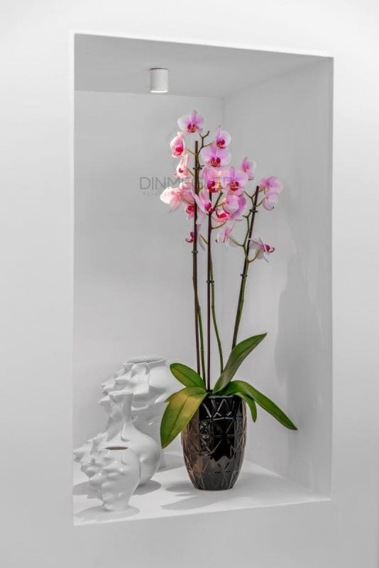 4 sypialnia Willa na sprzedaż w Guardamar del Segura z basenem - 1 390 000 € (Ref: 9326402)