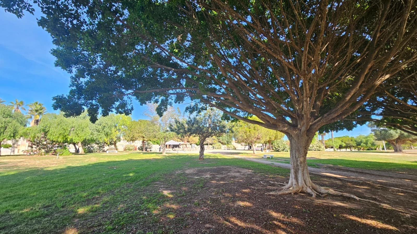 4 chambre Appartement à vendre à Aguas Nuevas avec piscine - 230 000 € (Ref: 9362590)