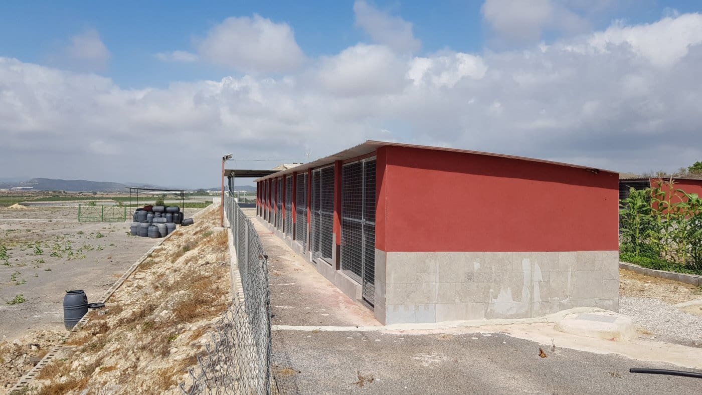 Finca/Casa Rural de 2 habitaciones en Los Montesinos en venta con garaje - 380.000 € (Ref: 9773007)