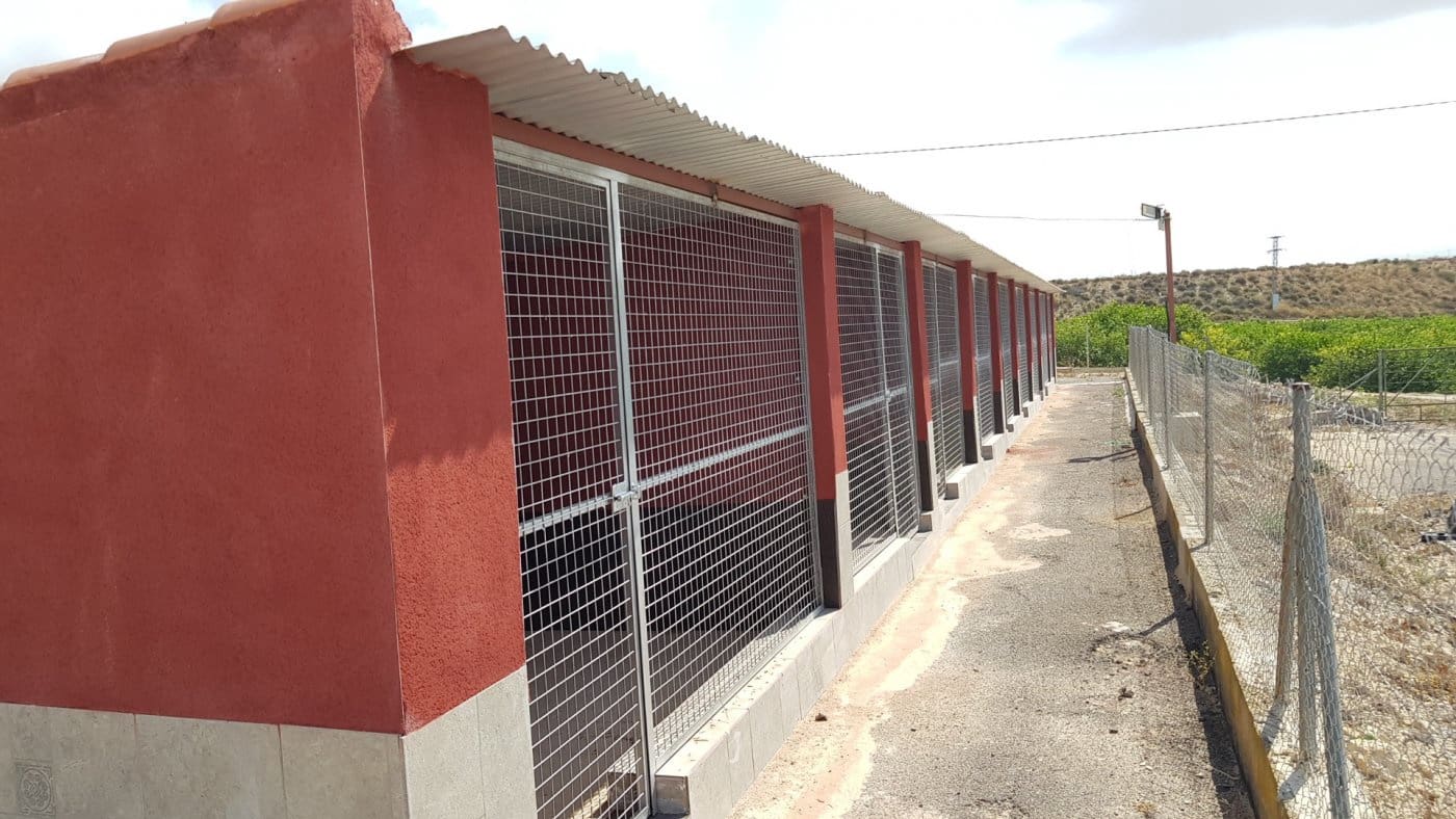 Finca/Casa Rural de 2 habitaciones en Los Montesinos en venta con garaje - 380.000 € (Ref: 9773007)