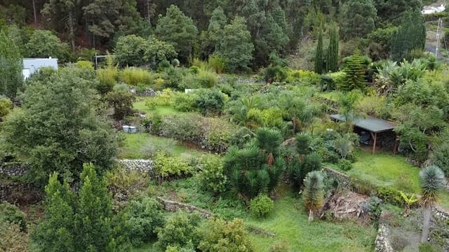 Finca/Casa Rural de 3 habitaciones en Icod de los Vinos en venta con piscina garaje - 350.000 € (Ref: 9487170)