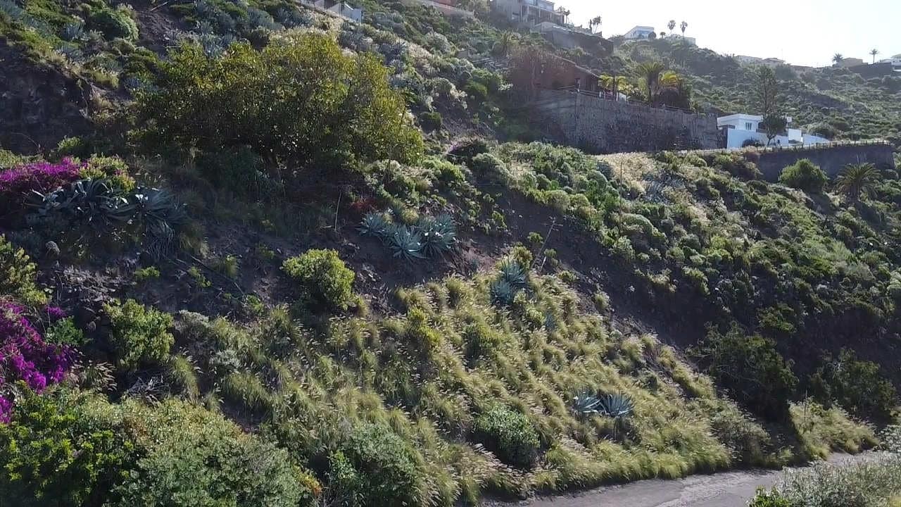 Building Plot for sale in Tacoronte - € 350,000 (Ref: 9867228)