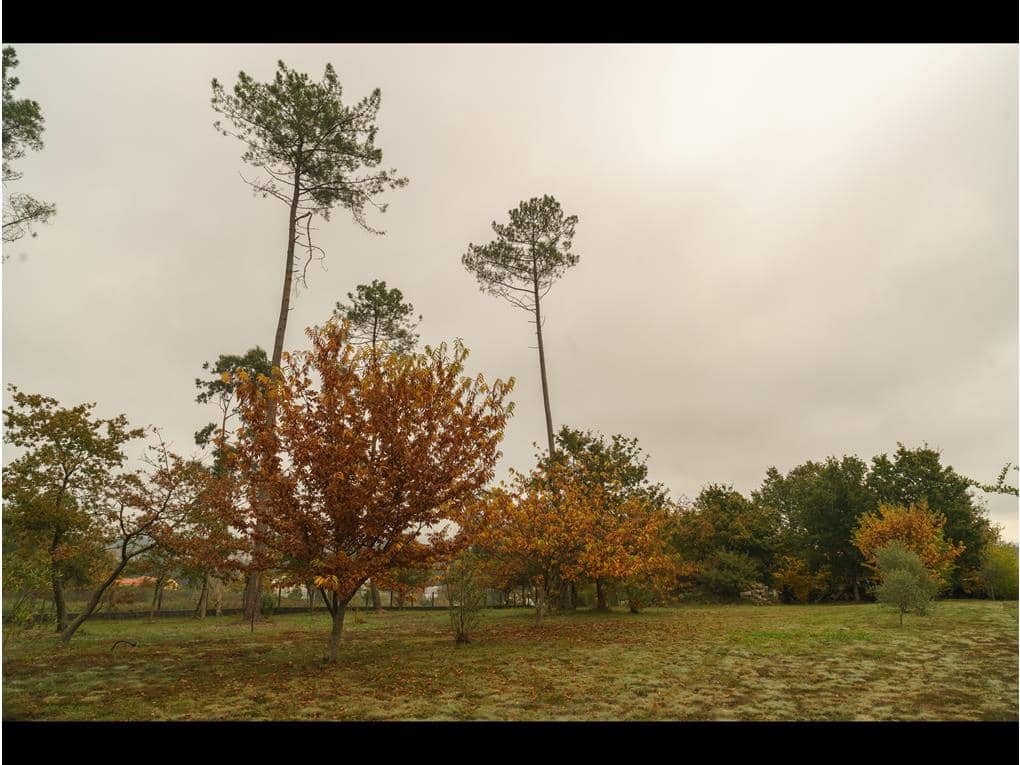 6 sypialnia Dom na sprzedaż w Teo z basenem garażem - 1 350 000 € (Ref: 6441561)