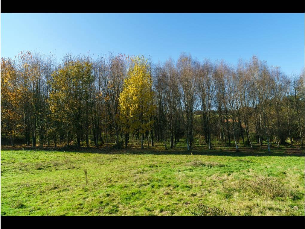 5 bedroom Finca/Country House for sale in Touro with pool garage - € 750,000 (Ref: 6443332)