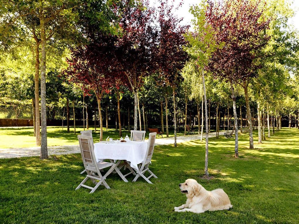 6 soveværelse Villa til salg i Santiago de la Puebla med swimmingpool garage - € 1.990.000 (Ref: 7720642)