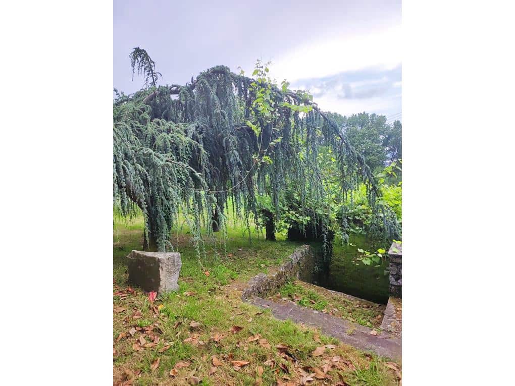 8 soveværelse Villa til salg i Padron med garage - € 490.000 (Ref: 8260071)