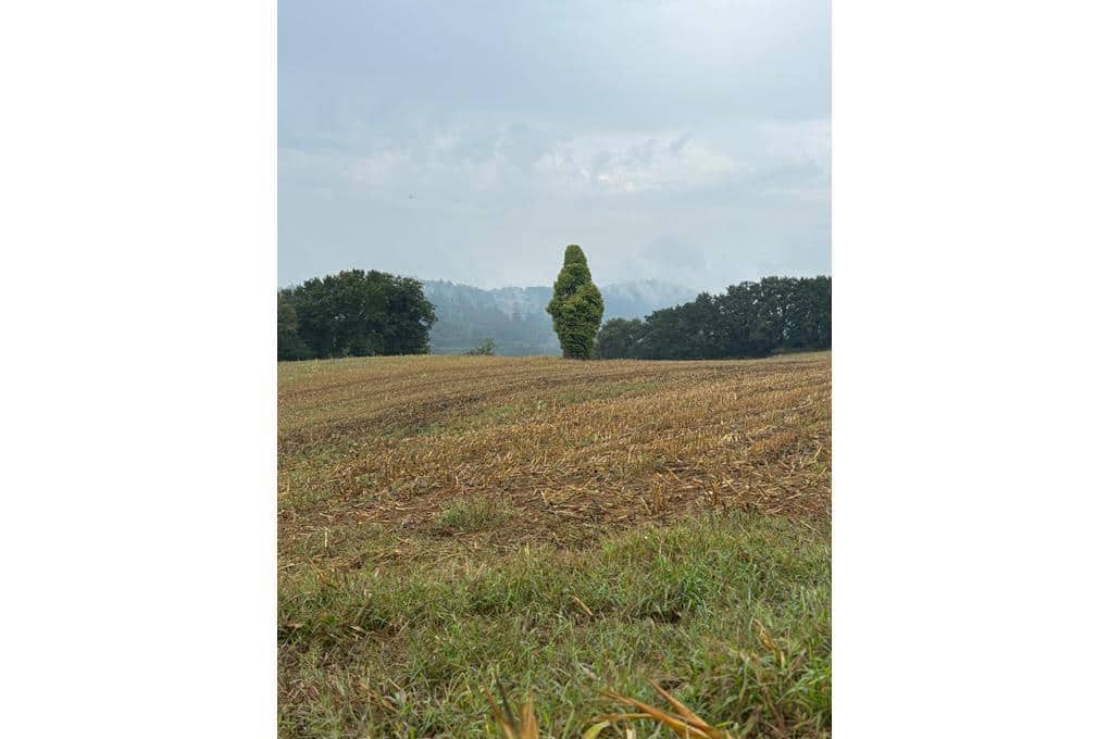 Byhus til salg i Vila de Cruces - € 390.000 (Ref: 8743930)