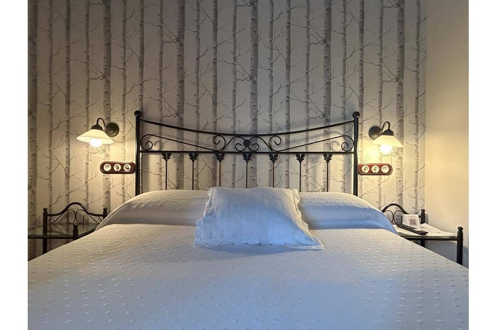 8 bedroom Guesthouse/B & B for sale in Ames with garage - € 690,000 (Ref: 9511117)