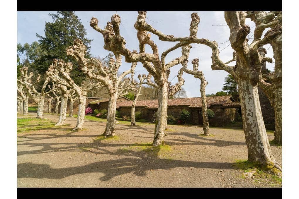 14 quarto Casa em Banda para venda em Touro com garagem - 2 900 000 € (Ref: 9714046)