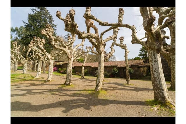 14 quarto Casa em Banda para venda em Touro com garagem - 2 900 000 € (Ref: 9714046)