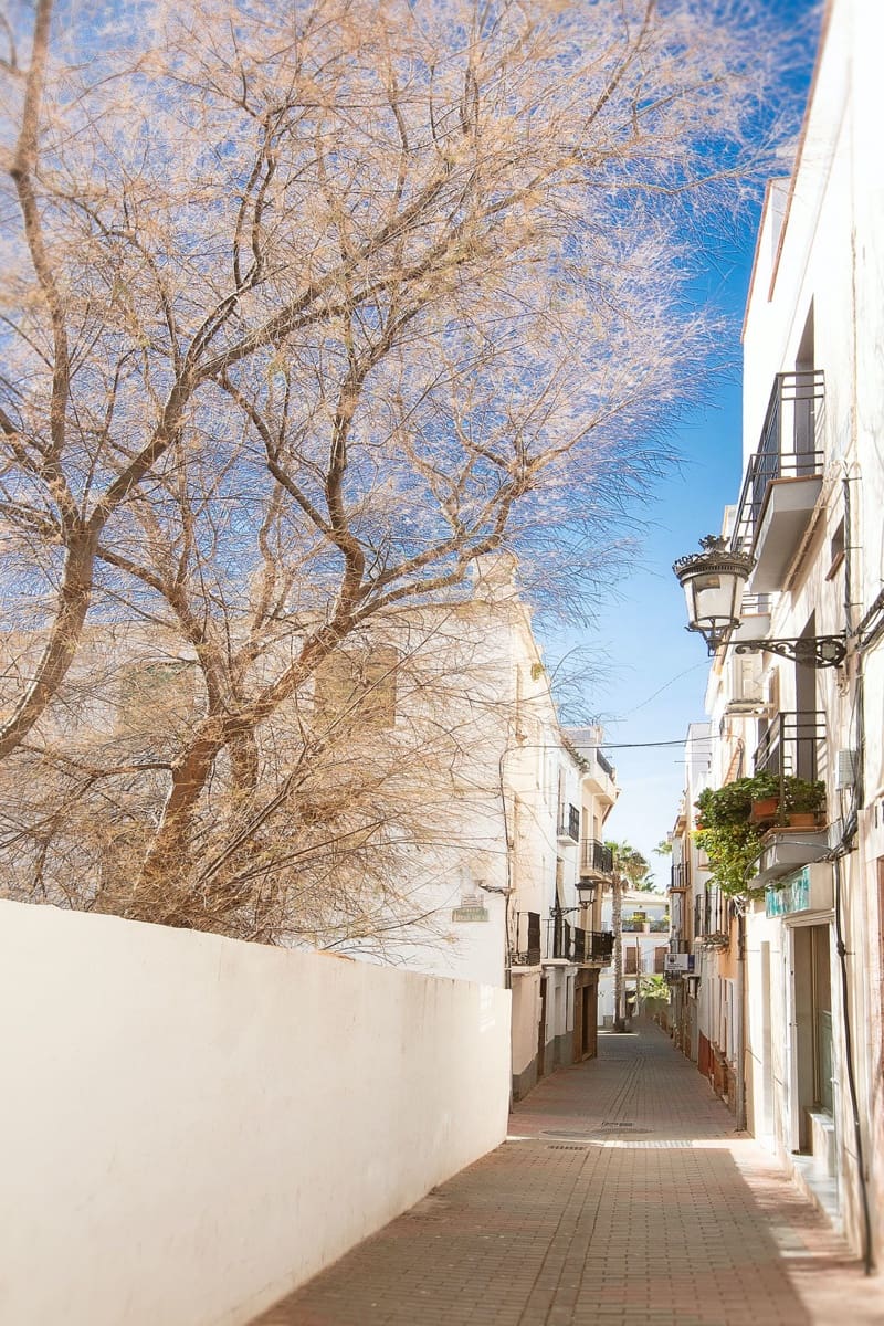 9 soverom Kommersiell til salgs i Almunecar - € 1 000 000 (Ref: 8091385)