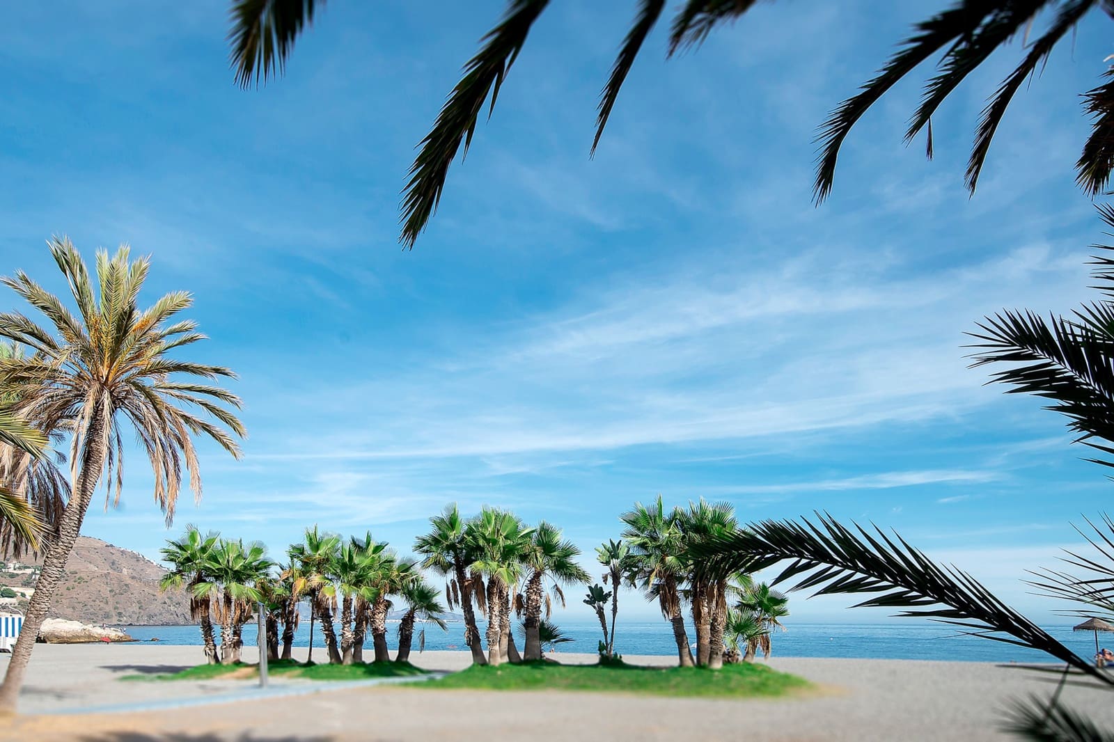 9 soverom Kommersiell til salgs i Almunecar - € 1 000 000 (Ref: 8091385)