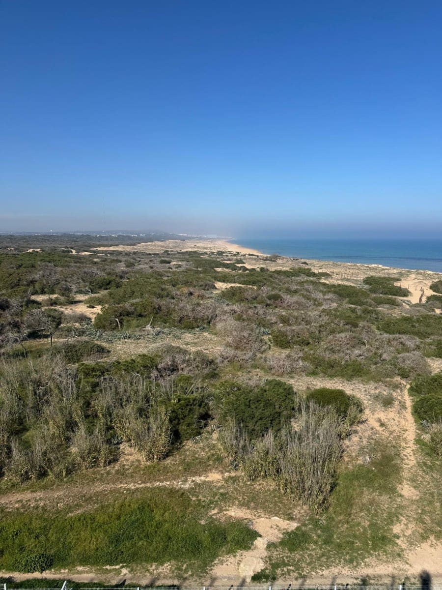 Apartamento de 2 habitaciones en La Mata en venta - 389.000 € (Ref: 9665144)