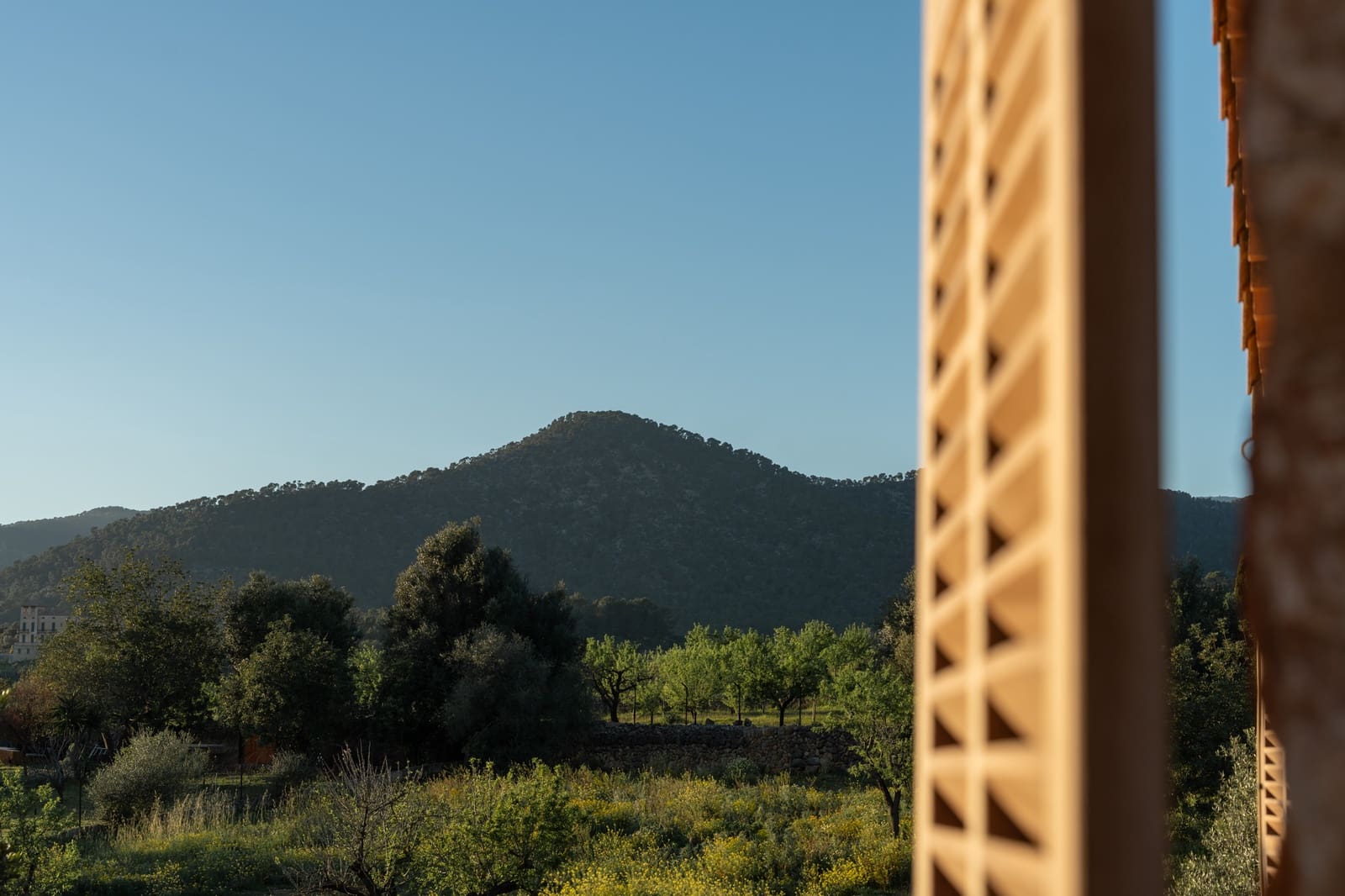 4 bedroom Villa for sale in Alaro - € 8,495,000 (Ref: 8514988)