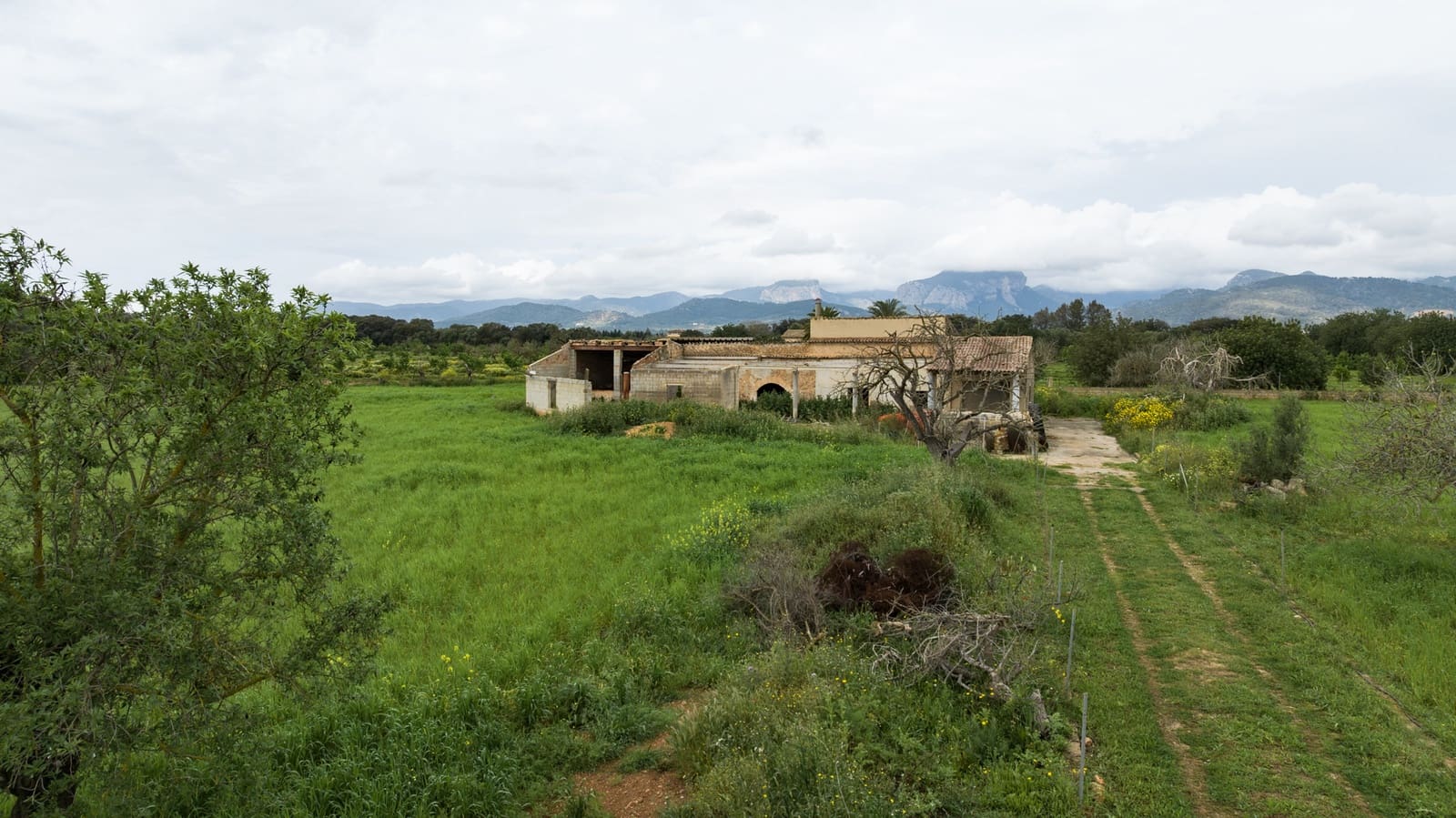 4 bedroom Villa for sale in Binissalem - € 7,995,000 (Ref: 9169273)