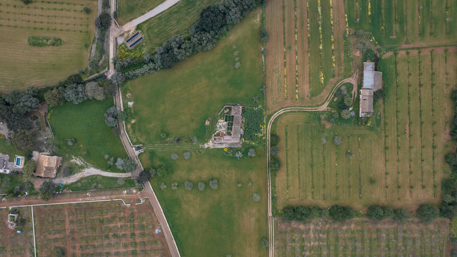 4 bedroom Villa for sale in Binissalem - € 7,995,000 (Ref: 9169273)