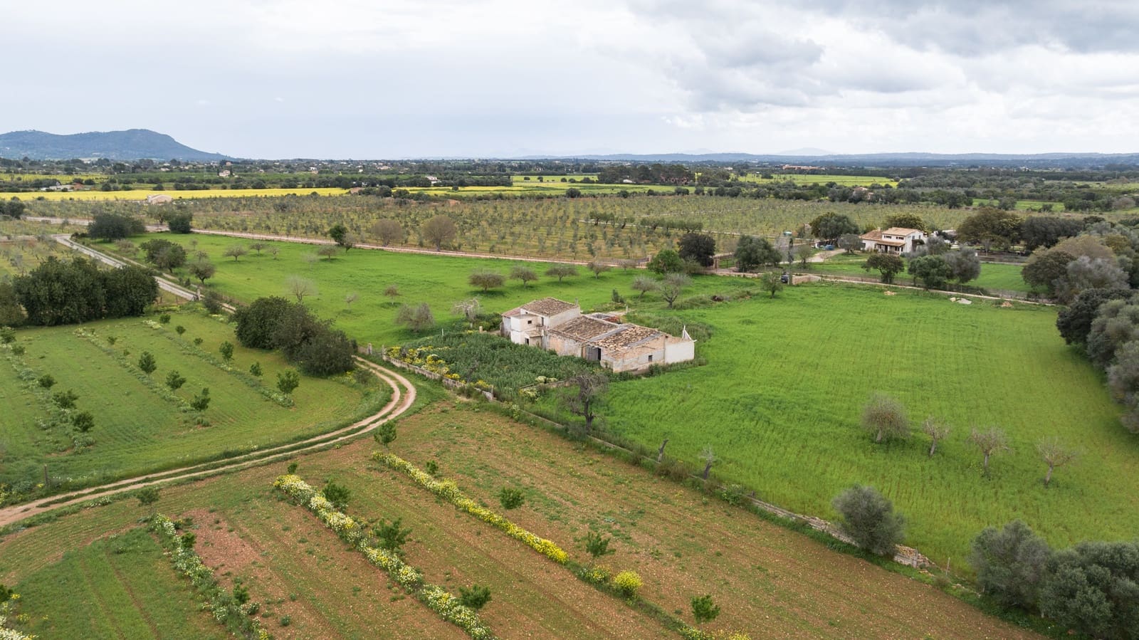 4 bedroom Villa for sale in Binissalem - € 7,995,000 (Ref: 9169273)