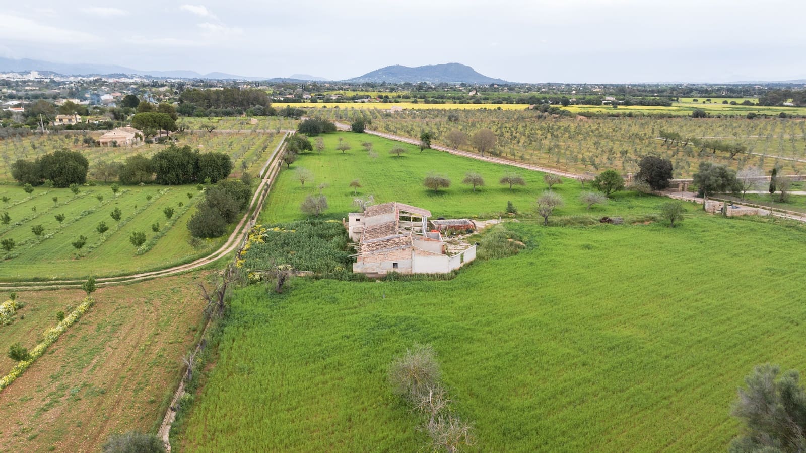 4 bedroom Villa for sale in Binissalem - € 7,995,000 (Ref: 9169273)