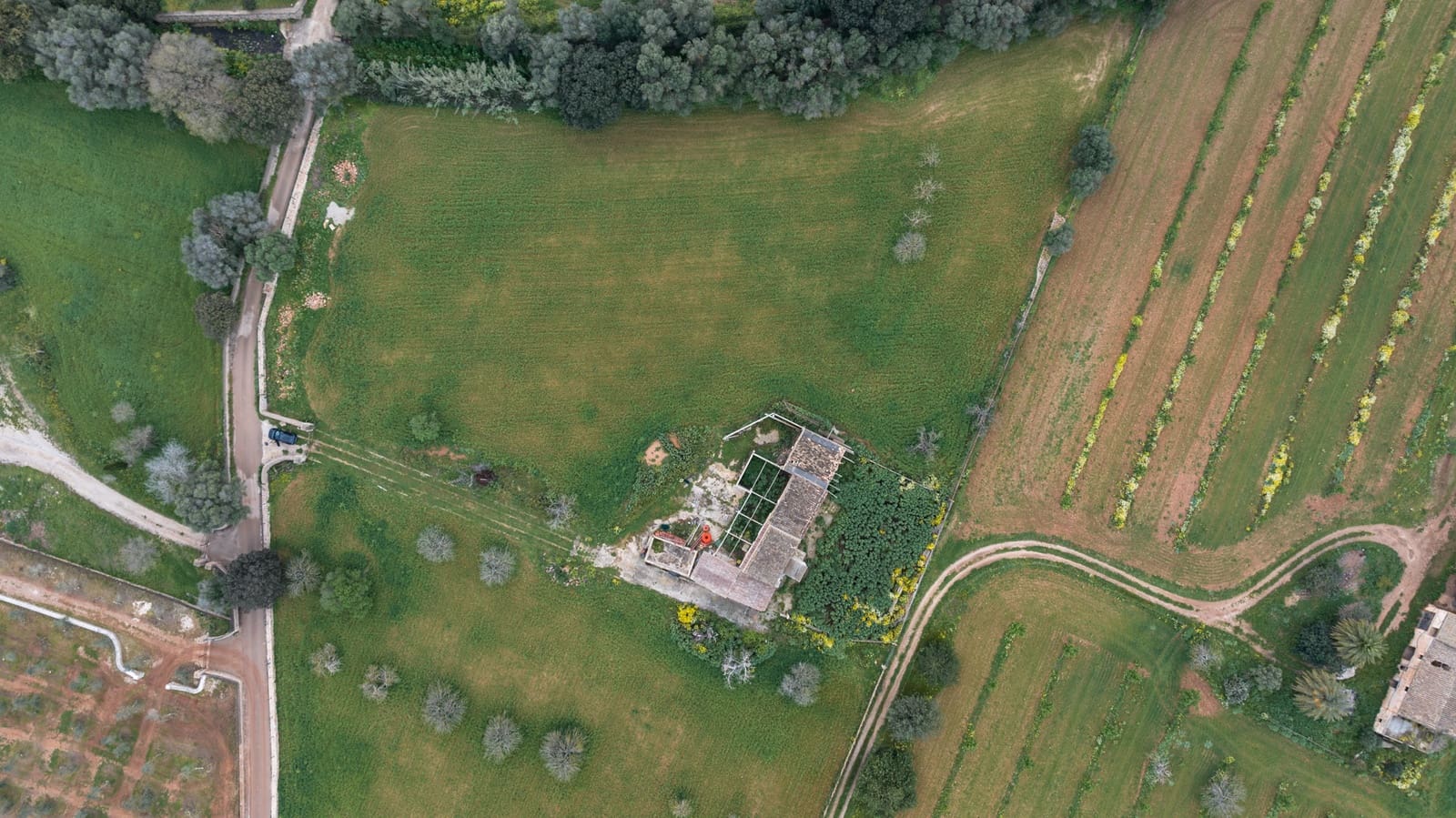 4 bedroom Villa for sale in Binissalem - € 7,995,000 (Ref: 9169273)