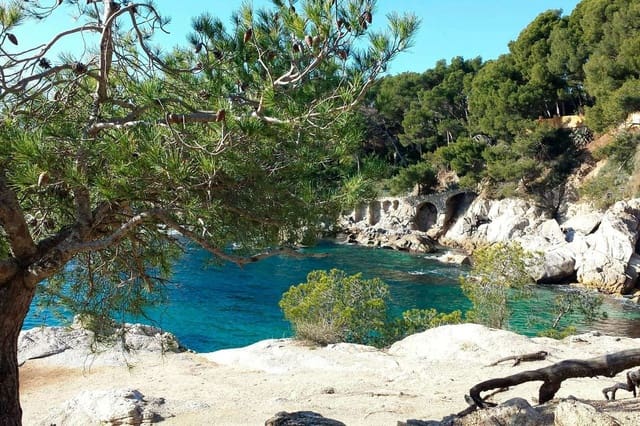 Ruin til salg i Platja d'Aro, Castell-Platja d'Aro - € 25.000.000 (Ref: 9759211)