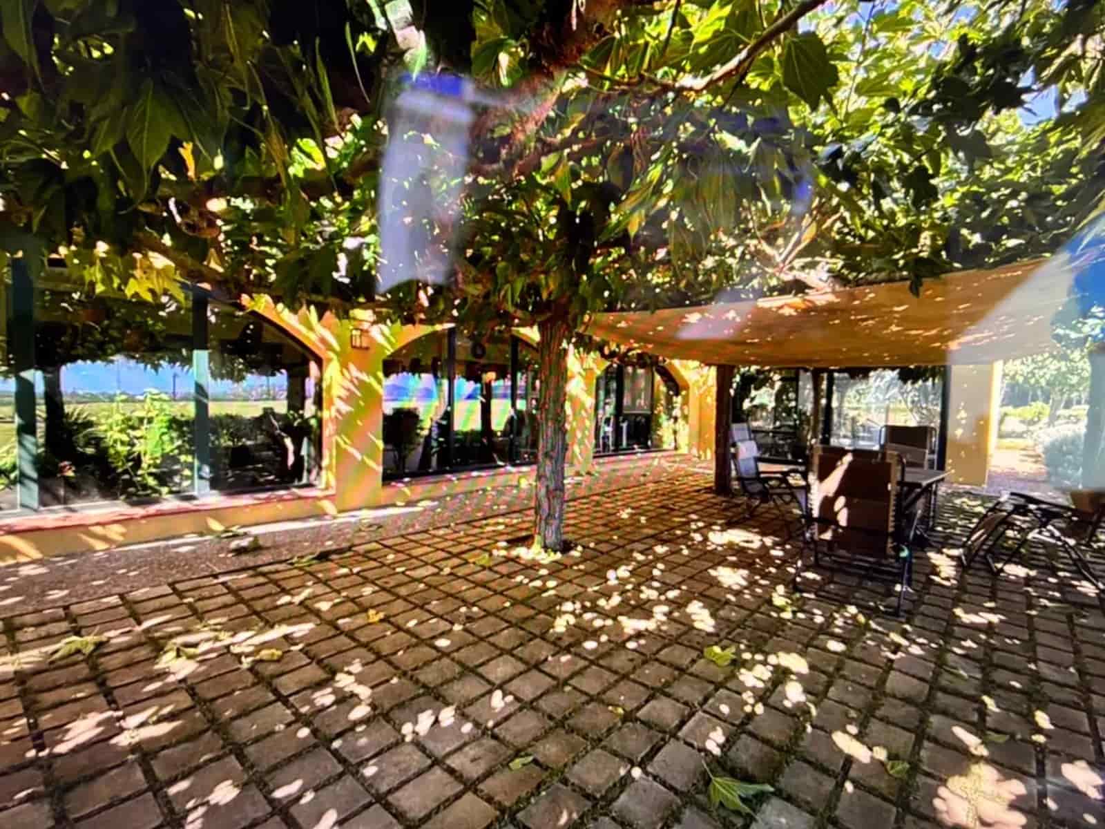 5 bedroom Villa for sale in Siurana with pool garage - € 1,250,000 (Ref: 9759215)