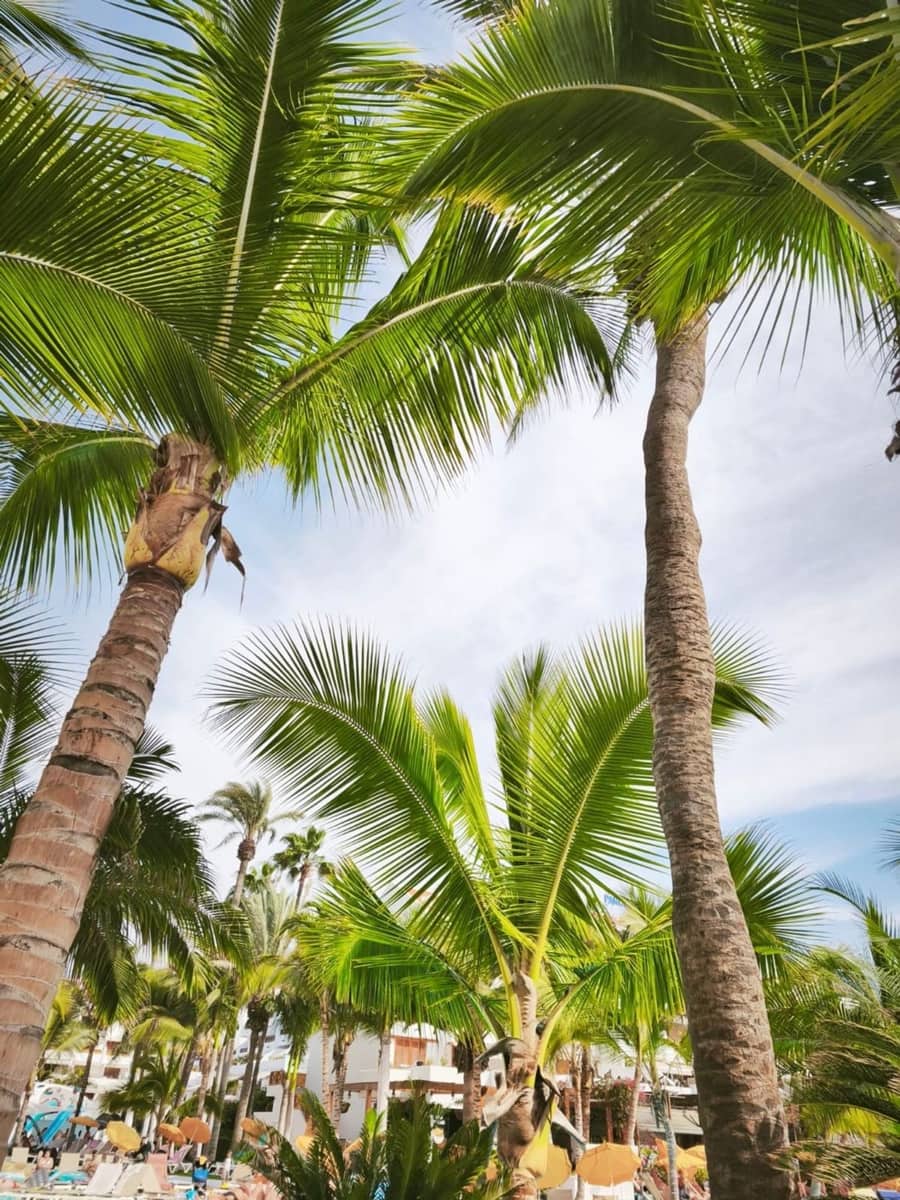 1 soveværelse Lejlighed til salg i Playa de las Americas med swimmingpool garage - € 495.000 (Ref: 9395759)