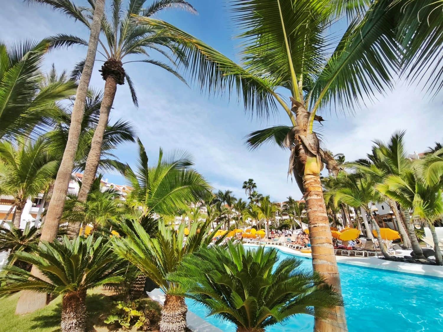 1 soveværelse Lejlighed til salg i Playa de las Americas med swimmingpool garage - € 495.000 (Ref: 9395759)