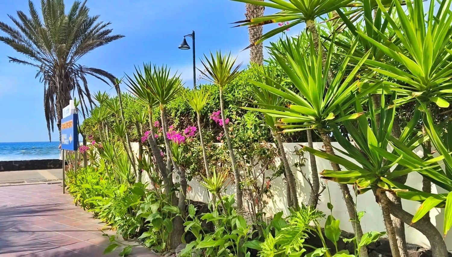 1 soveværelse Lejlighed til salg i Playa de las Americas med swimmingpool garage - € 495.000 (Ref: 9395759)