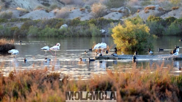 Building Plot for sale in Vera Ciudad, Vera - € 170,000 (Ref: 8903947)