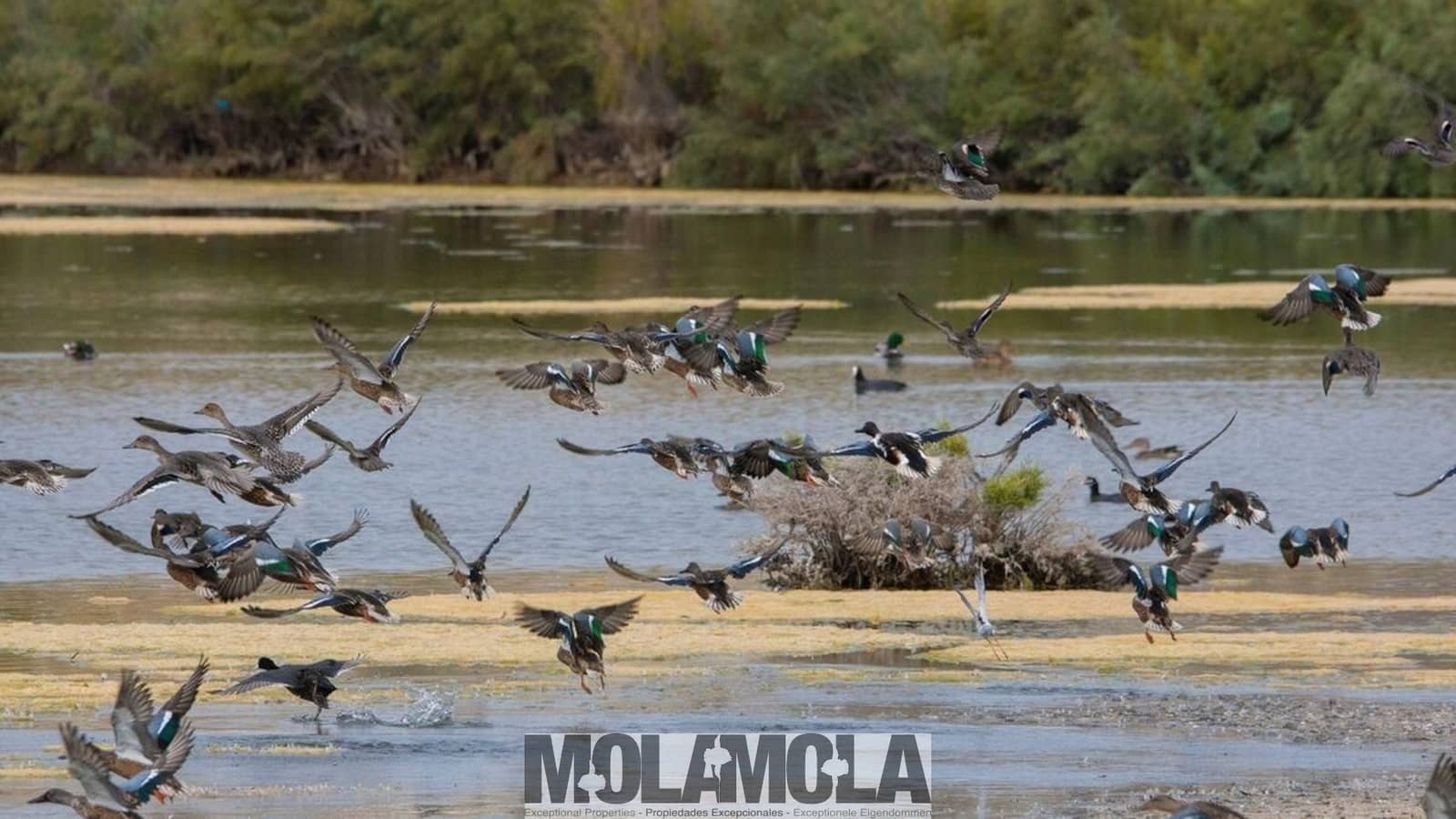 Building Plot for sale in Vera - € 170,000 (Ref: 8903947)