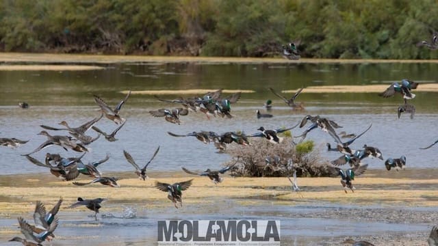 Building Plot for sale in Vera Ciudad, Vera - € 170,000 (Ref: 8903947)