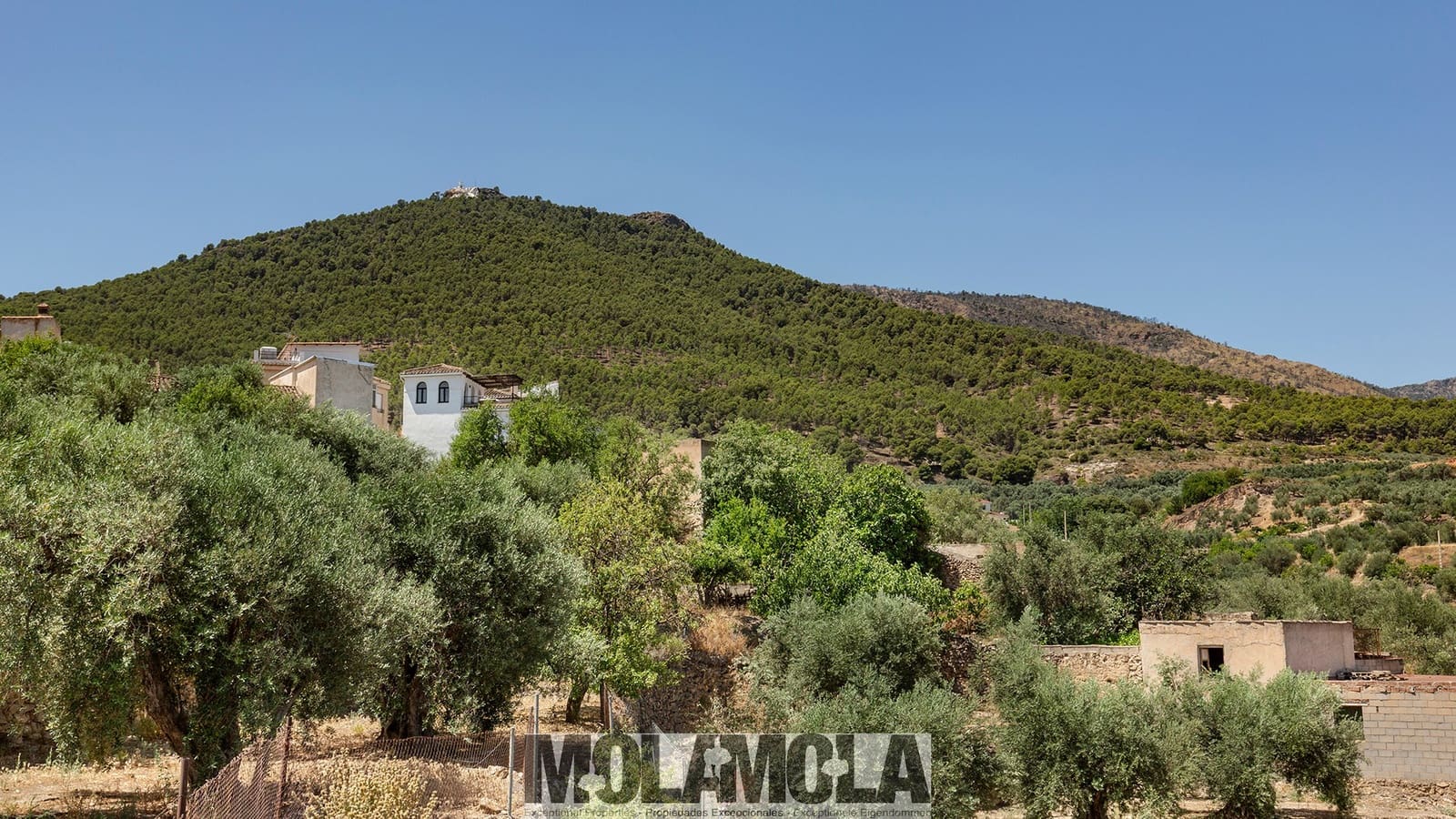 21 soveværelse Guesthouse/B & B til salg i El Pinar med swimmingpool garage - € 1.275.000 (Ref: 9298750)