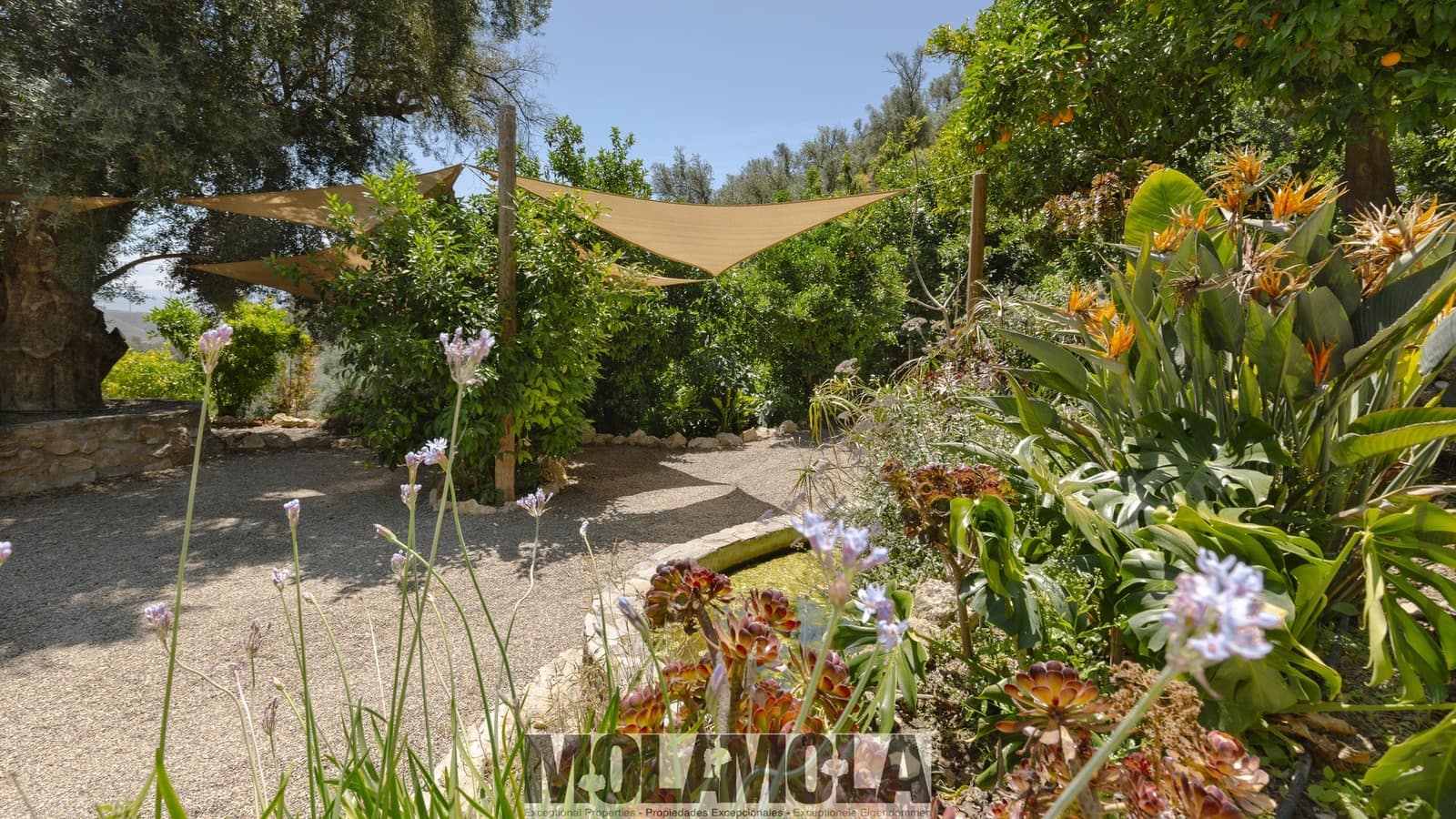 3 bedroom Finca/Country House for sale in El Pinar with pool garage - € 575,000 (Ref: 9961834)