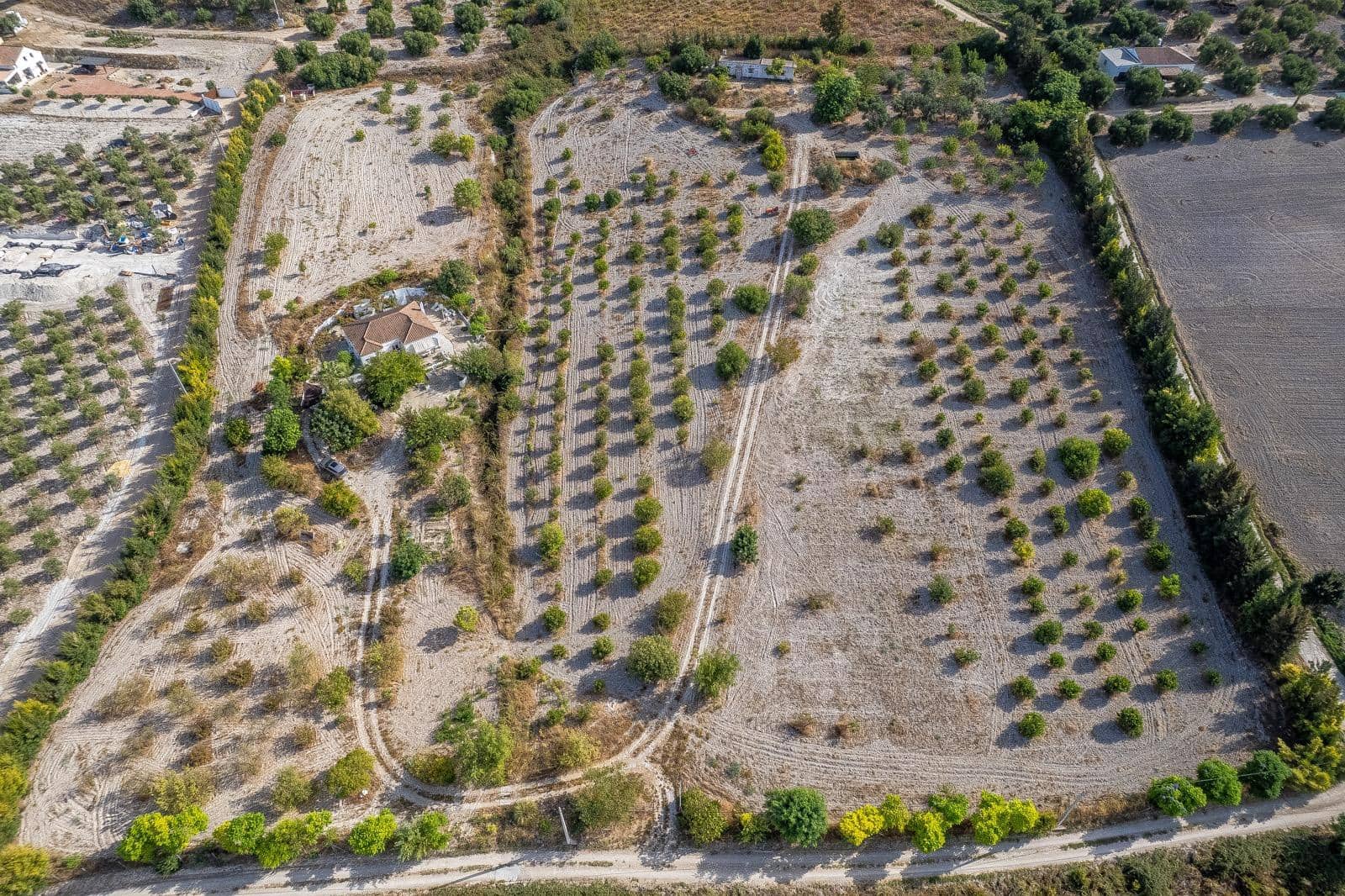 2 Zimmer Finca/Landgut zu verkaufen in Arcos de la Frontera - 260.000 € (Ref: 10059251)