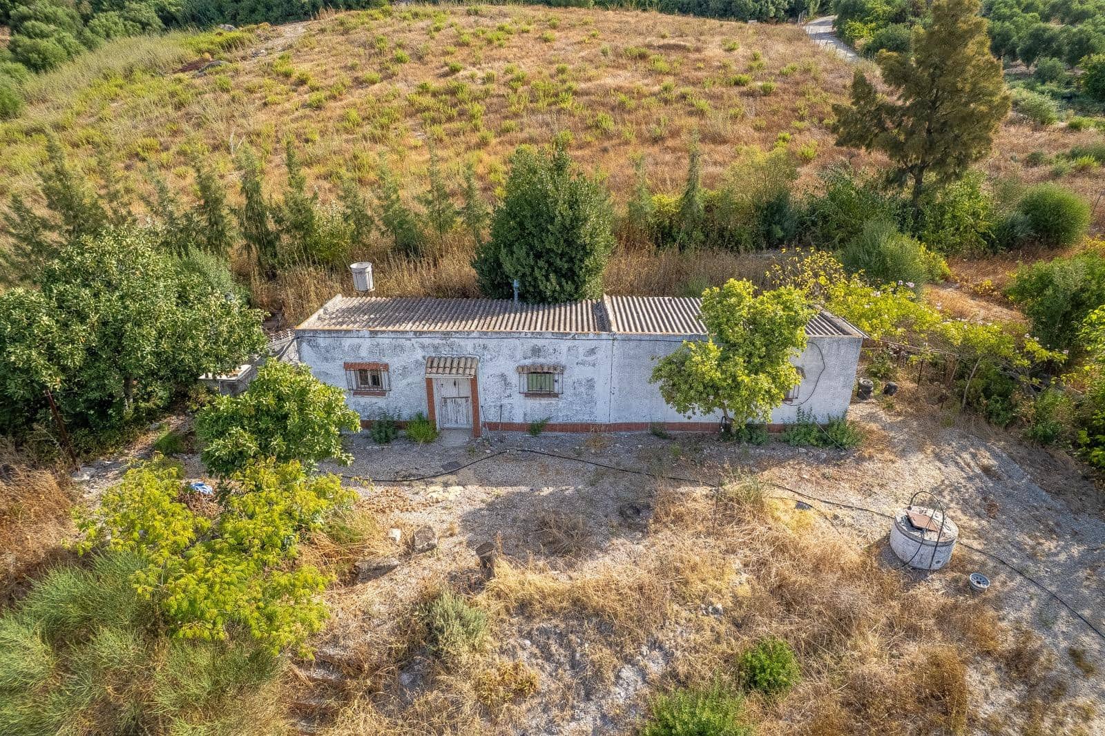 2 Zimmer Finca/Landgut zu verkaufen in Arcos de la Frontera - 260.000 € (Ref: 10059251)
