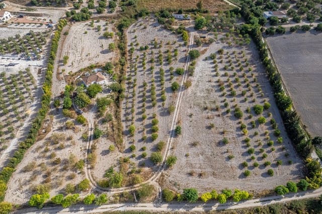 2 sypialnia Finka/Dom wiejski na sprzedaż w Arcos de la Frontera - 260 000 € (Ref: 10059251)