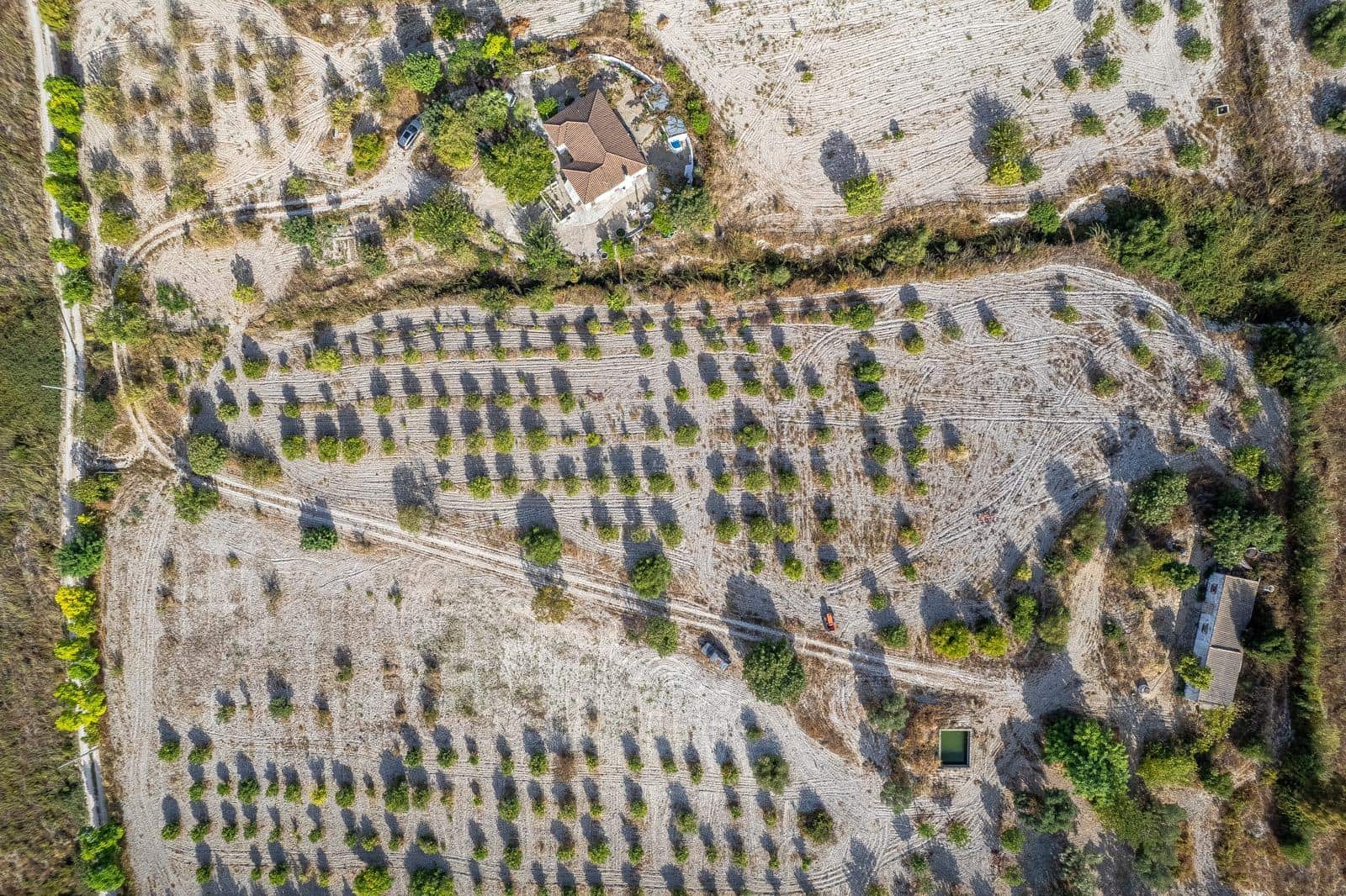 2 Zimmer Finca/Landgut zu verkaufen in Arcos de la Frontera - 260.000 € (Ref: 10059251)