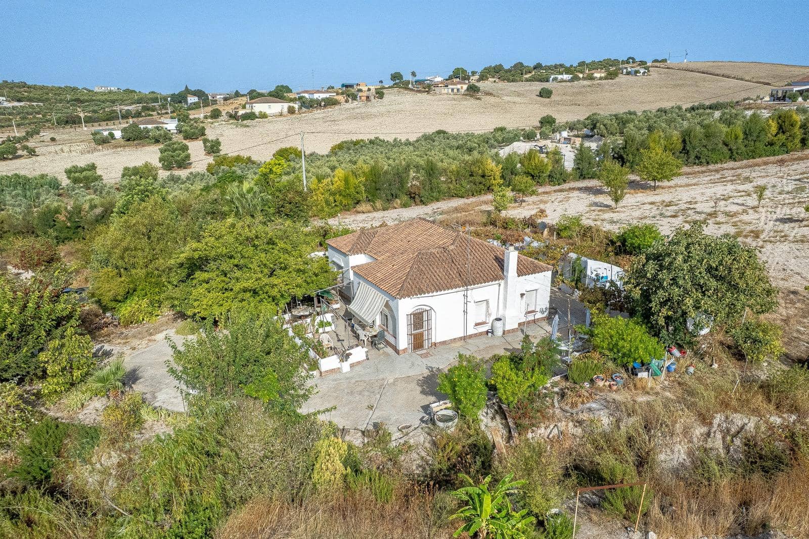 2 Zimmer Finca/Landgut zu verkaufen in Arcos de la Frontera - 260.000 € (Ref: 10059251)